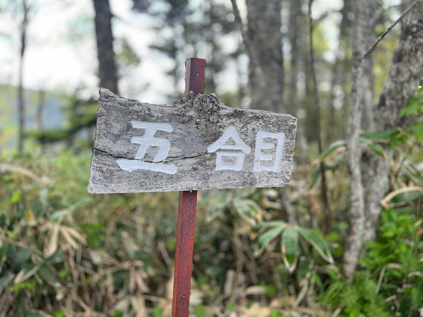 合目標識見やすいね