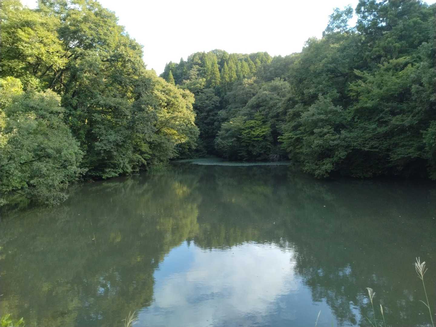 ため池の横を通ります
