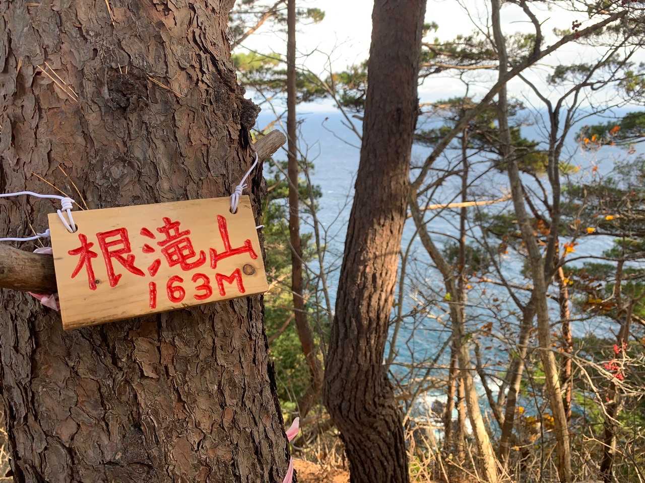 新しい看板✨
