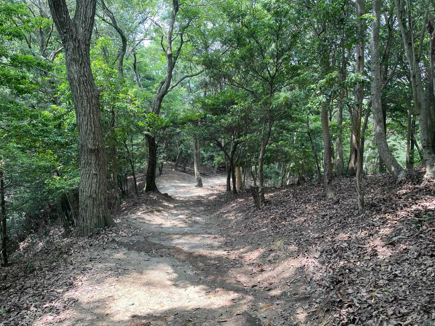 1時間休憩してました。
さっ、帰ろ🏃‍♀️