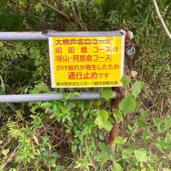 芦名口開通してた！