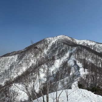 青空に北面白山が映えます🏔️