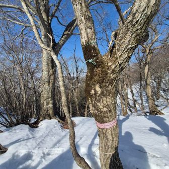 瀬戸山のピークらしい😅