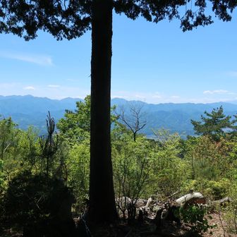 大山から富士山までずらーり✨