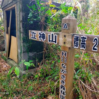 イノシシに2回遭遇した