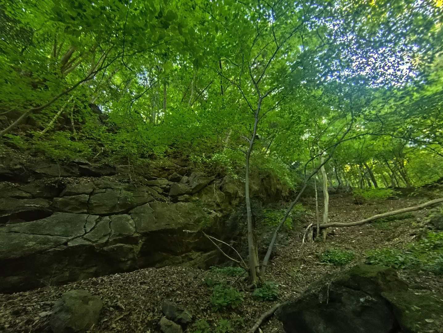 二子山（雌岳　雄岳）は岳と名が付くので岩峰なのです
