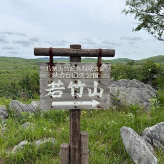 まずは若竹山へ