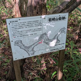 最後のピークの岩崎山