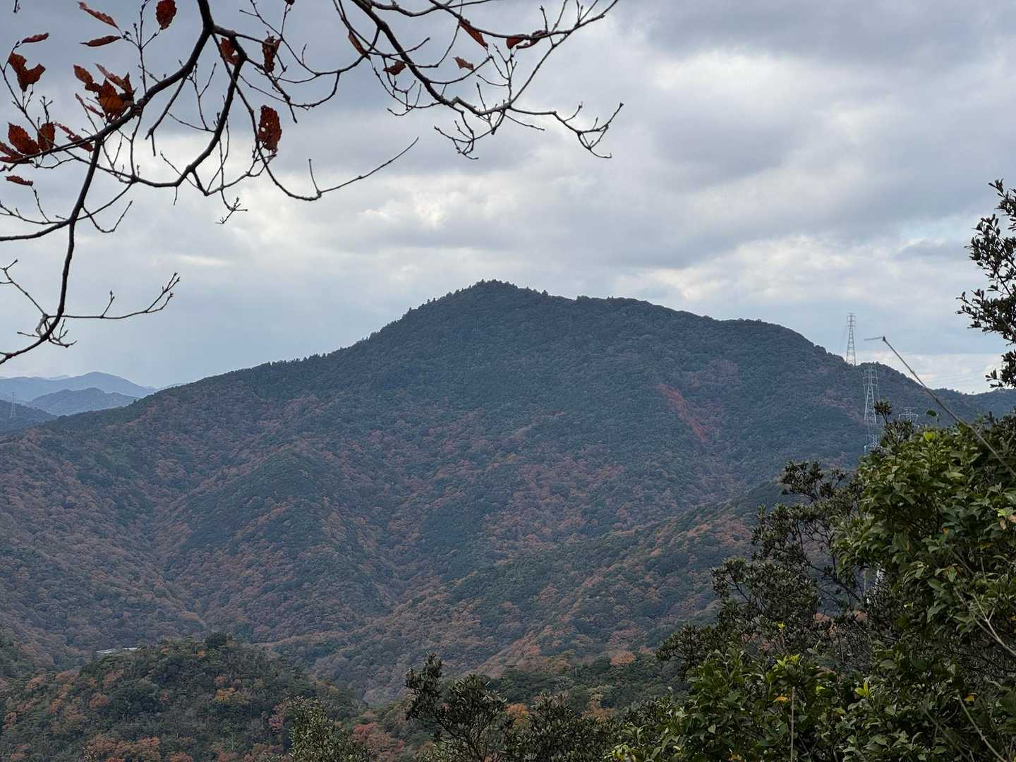 大麻山かな？