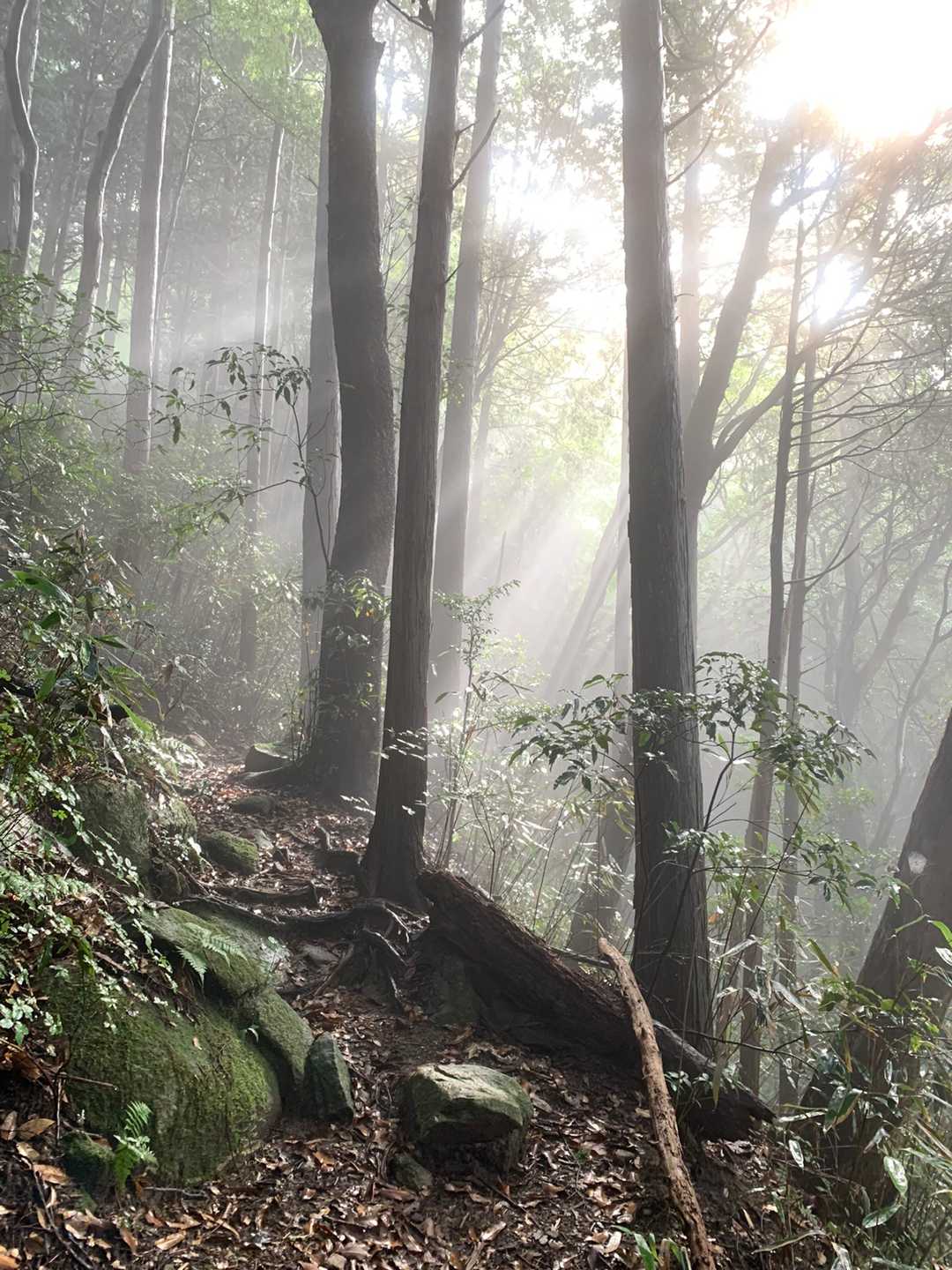 加波山 周回コースの写真