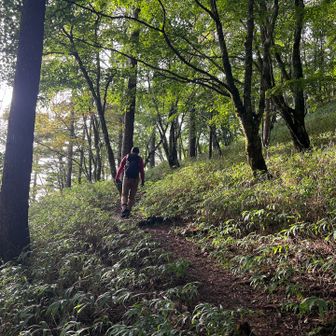 Zさんに先頭をお願いして私は必死についていきます☺️