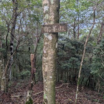 船峯山ピーク⛰