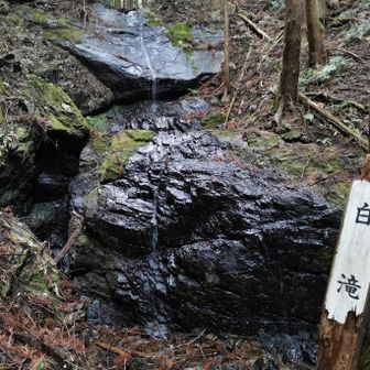 白滝
こちらはかろうじて水が流れていた
