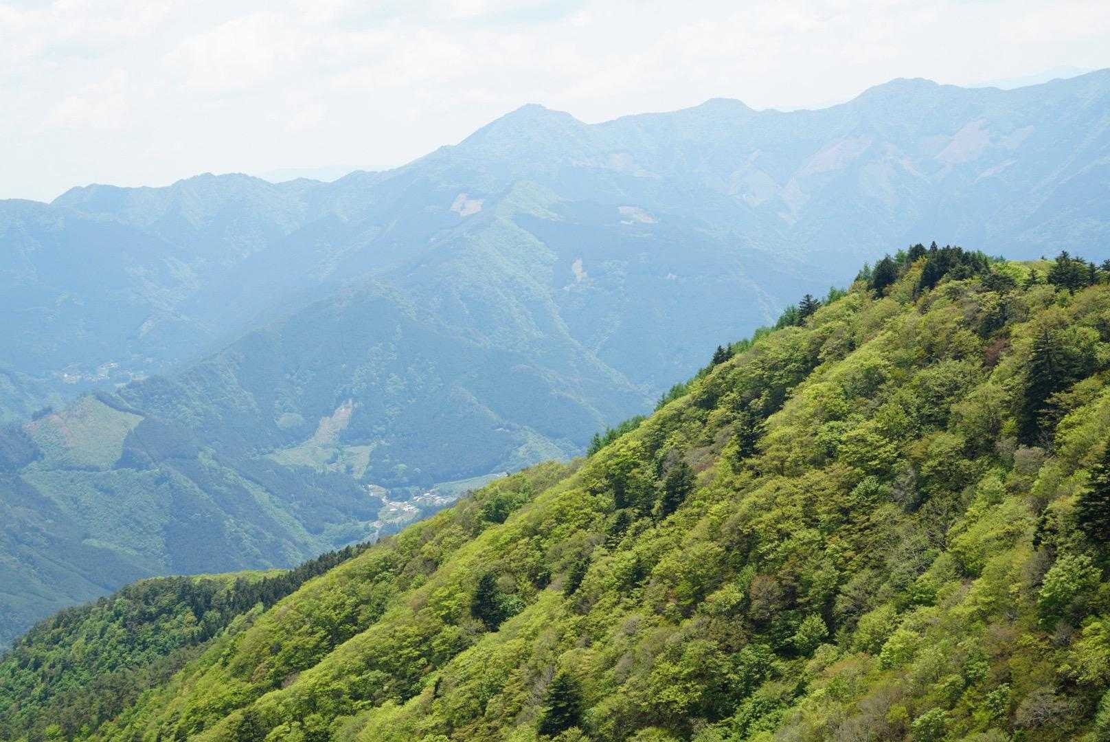 鋸山-七々木山-豊受山-赤星山 往復コースの写真