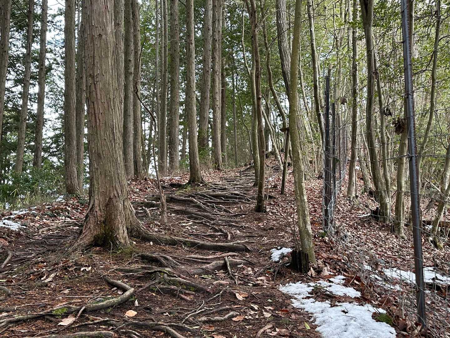 三釈迦山登山道入口-三釈迦山-三釈迦山登山道入口 往復コースの写真