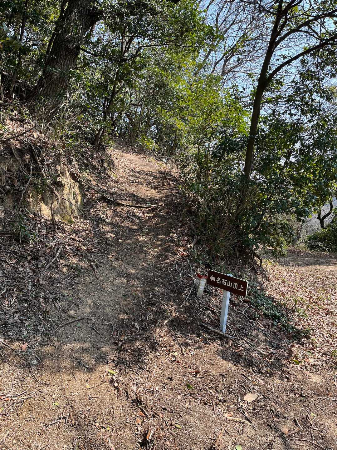 後半普段の登山道へ
ここからは少し急登が続きます