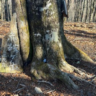 赤鞍ケ岳到着💦
もはや戦意喪失寸前😵‍💫