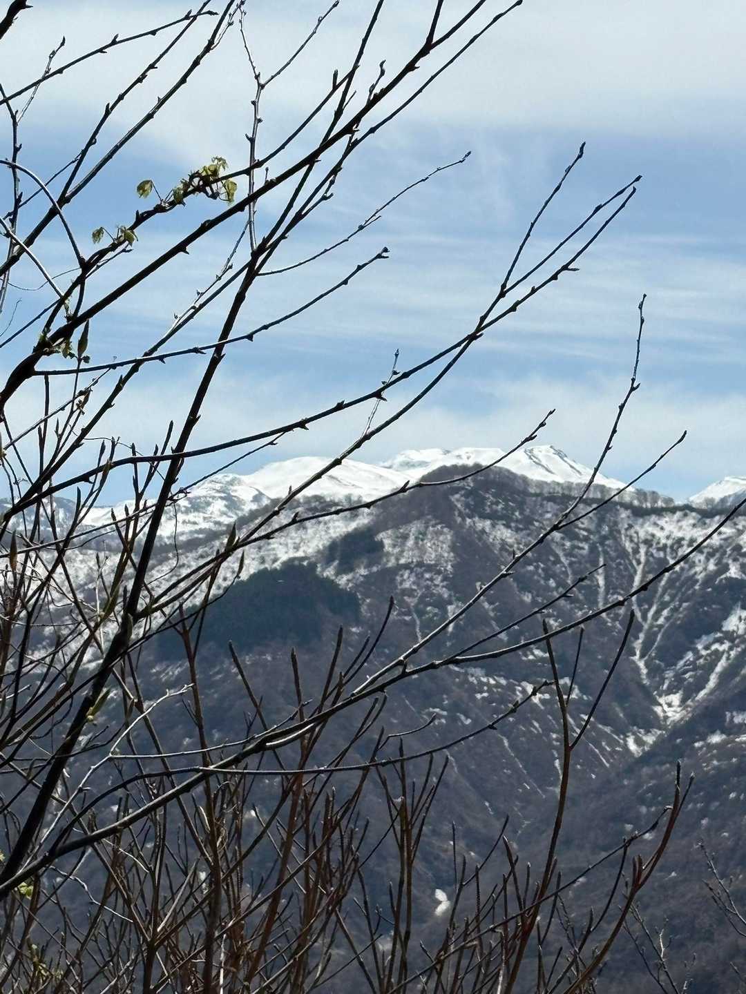白山綺麗😍