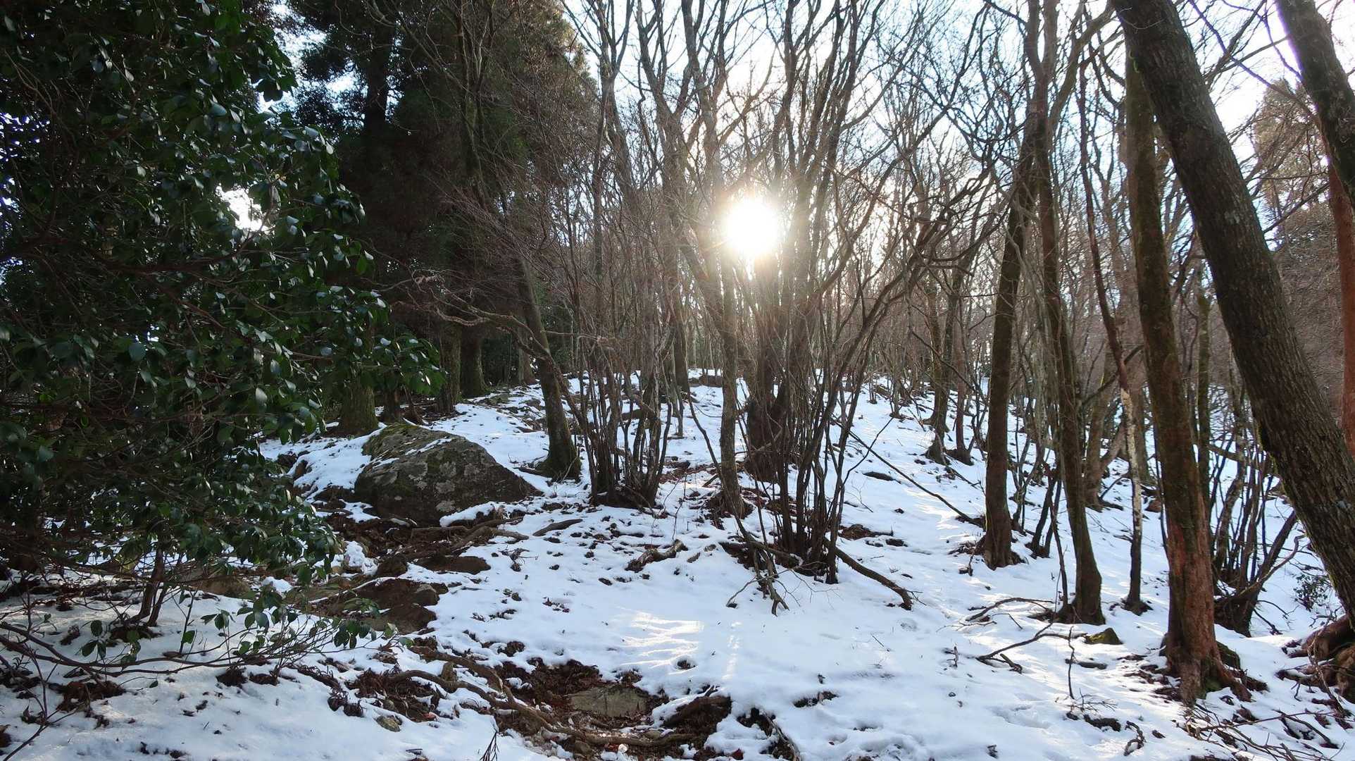 逢拝所登山口-馬見山-宇土浦越 周回コースの写真