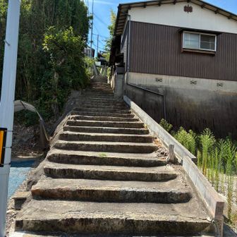 ここから再び登りへ
さっきまで山から見えていた向山へ