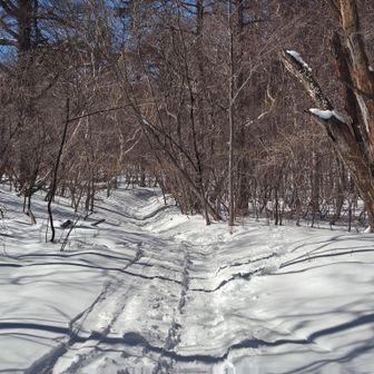 浅間山・黒斑山・篭ノ登山 よく踏まれ歩きやすい（右に入る近道は踏跡無いので止めました）