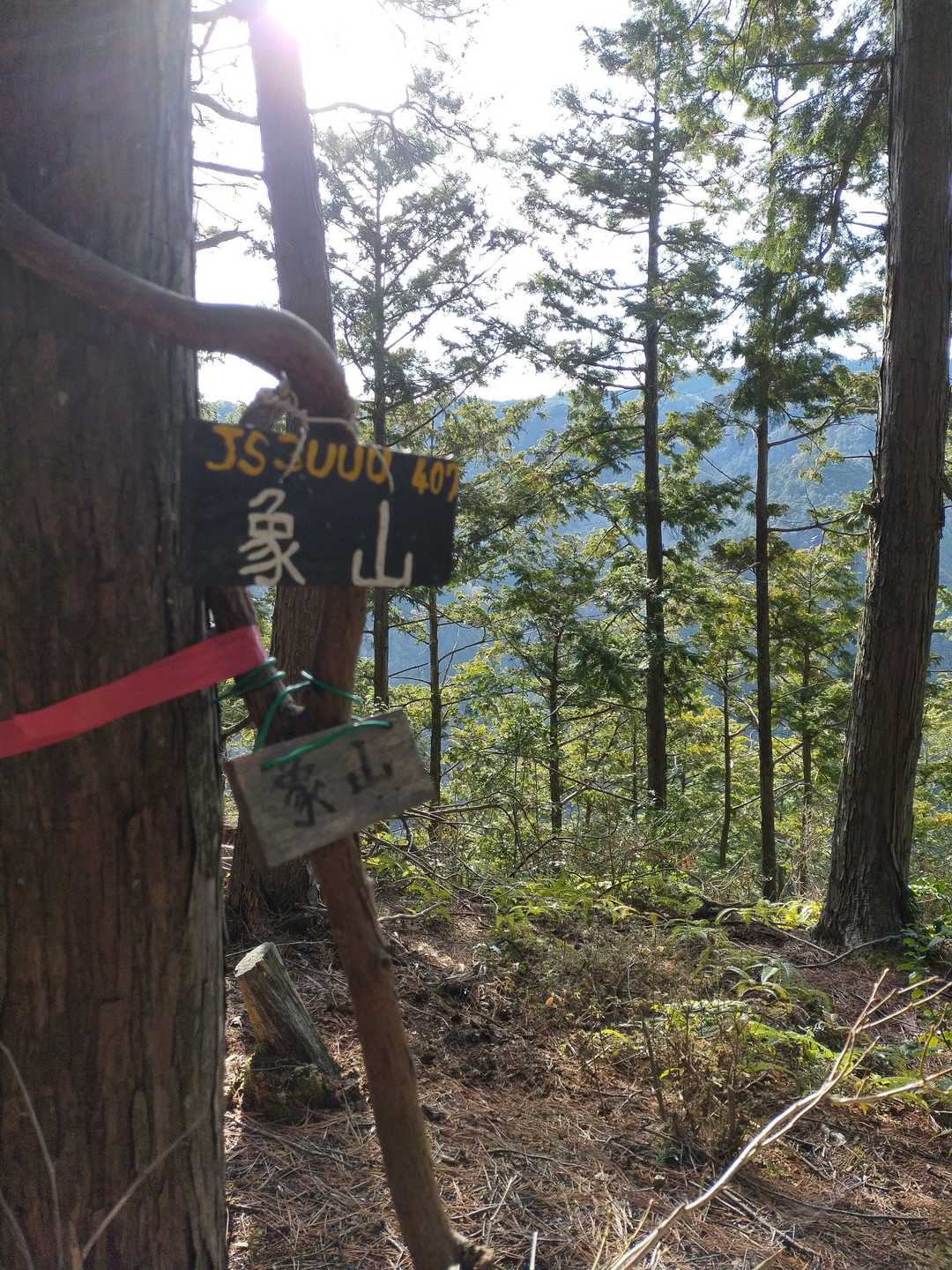 疱瘡治療の神が象に乗って天から下りてきたそうですパオーン