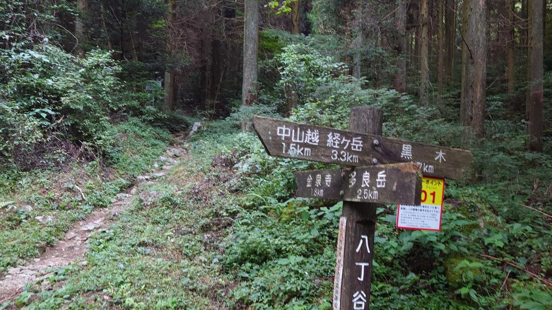 1キロほど舗道を歩いて、ここから山道