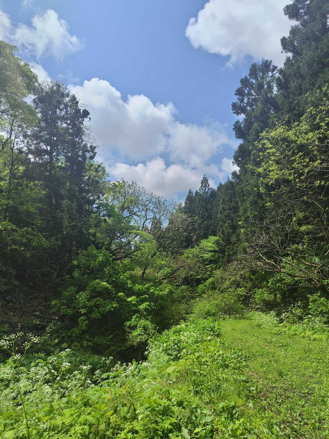 下山する頃に青空💙
