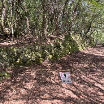 ん？朝熊山西峰のピークはどこ？