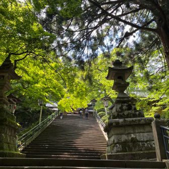 山のお寺なので階段多いですね。