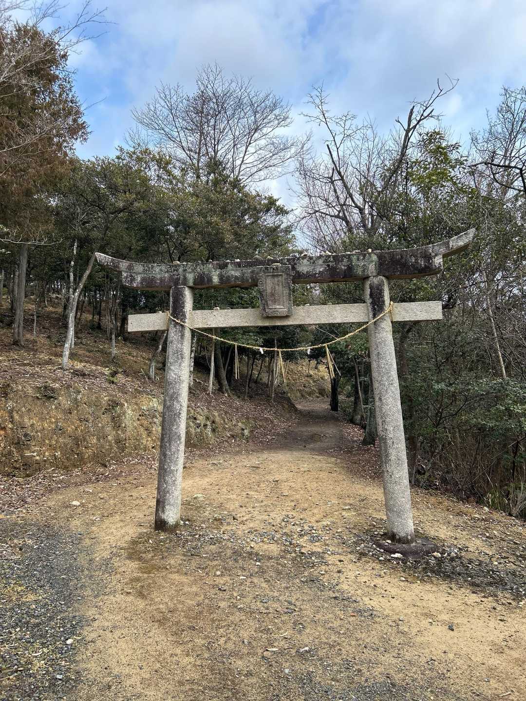 城山・正木山 往復コースの写真