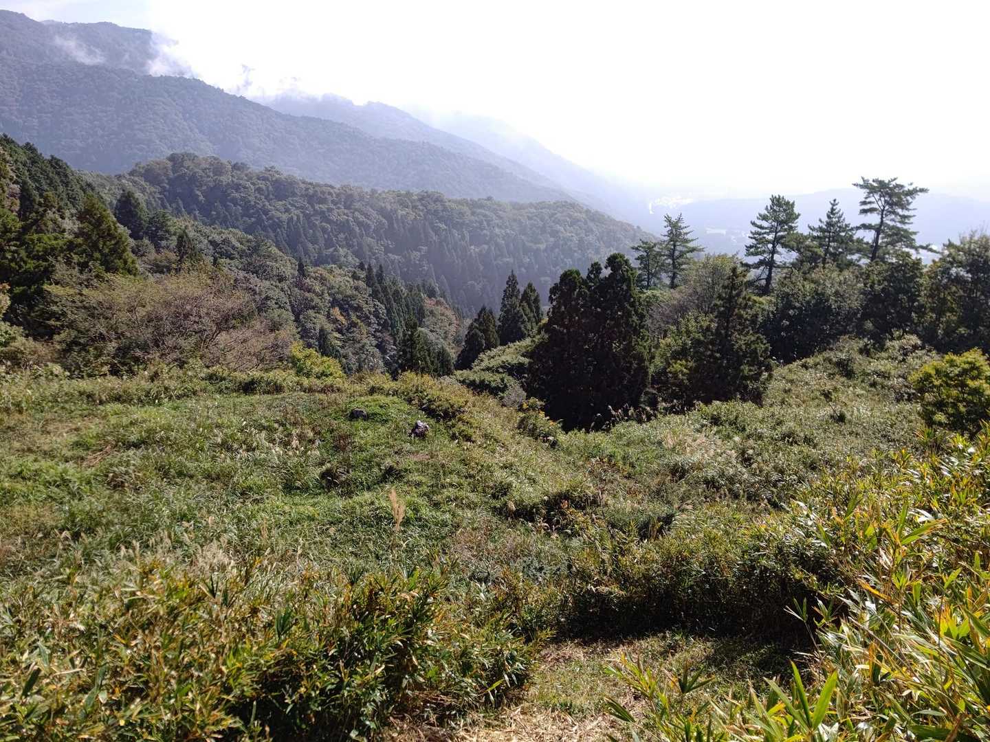 ここから下山〜😊
この先、合流地点までは道が細く、バランス崩しやしい所もあったので気をつけて⚠️