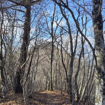 やっと府駒山🪧

こちらから釈迦ヶ岳を望みﾏｽ🧐

まだまだ遠いねぇ~笑