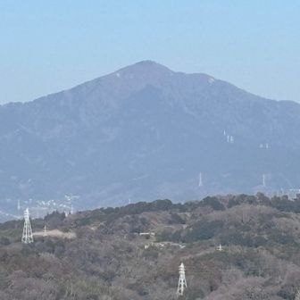 北東に大山。
この左には丹沢山塊も見えます。
大倉尾根の山火事は鎮火しました。