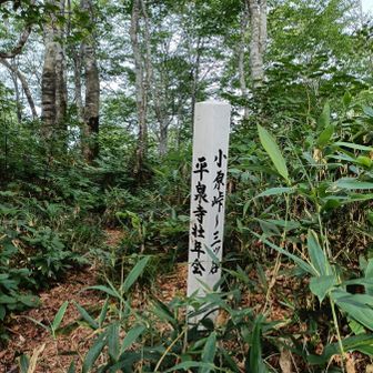 小原峠の分岐まであと少し