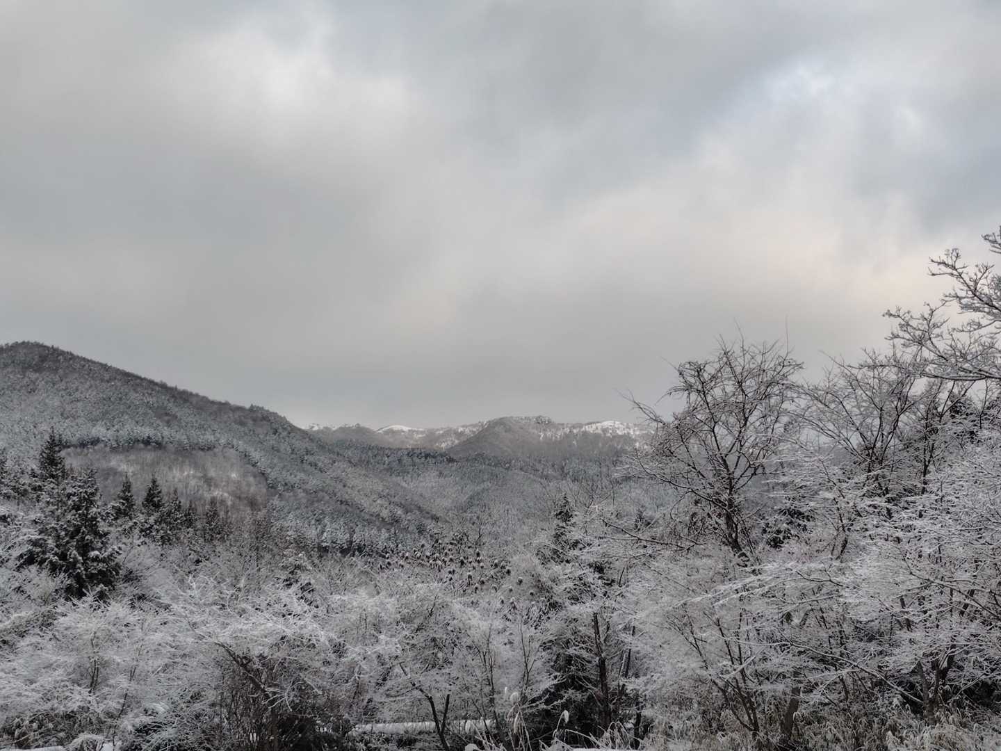 道路には雪はありませんでしたが、除雪されていない駐車場に入る道から雪がありました⛄
第一駐車場に置いてチェーンスパイクを付けて登山スタート🚶
曇っていますが上まで見えるので晴れるのを期待して行きました🙂
