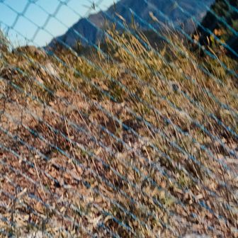 網越しに生藤山