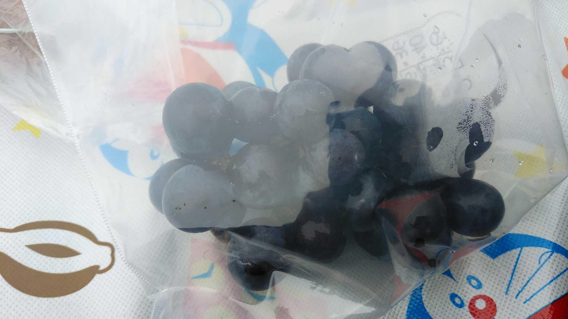 待っている間、ブドウを食べる。