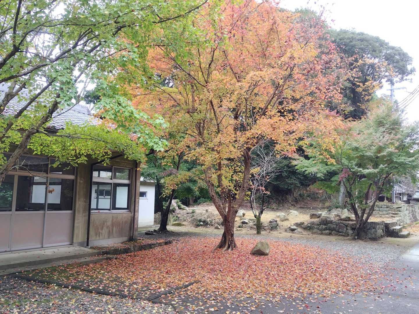 五峰山 往復コースの写真