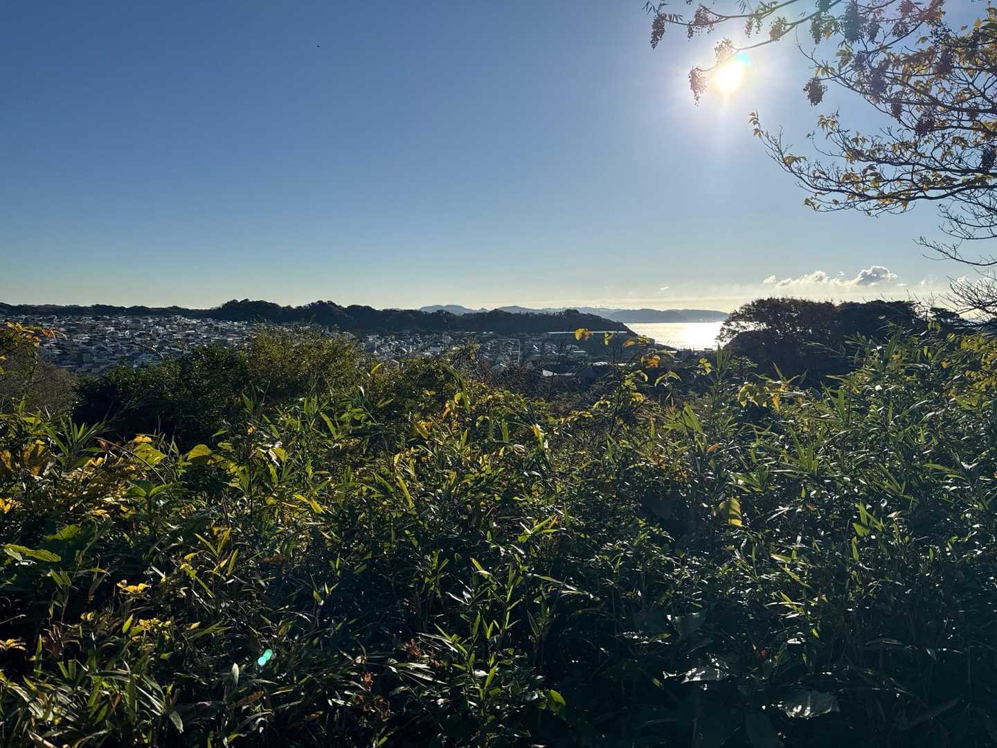 所々視界が開けて、海と鎌倉の街並みが見えます。