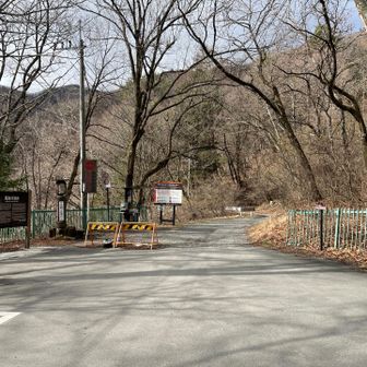 尾白川渓谷駐車場
金曜日と言う事でガラガラ