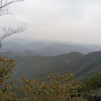 ガスガスしてきたな👀
まだ皆には会えず😢
心細い…