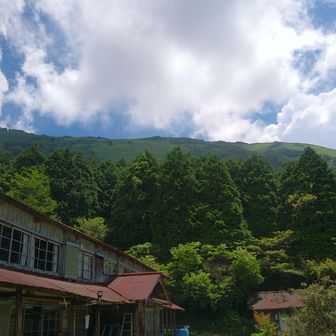 見上げると良い景色！