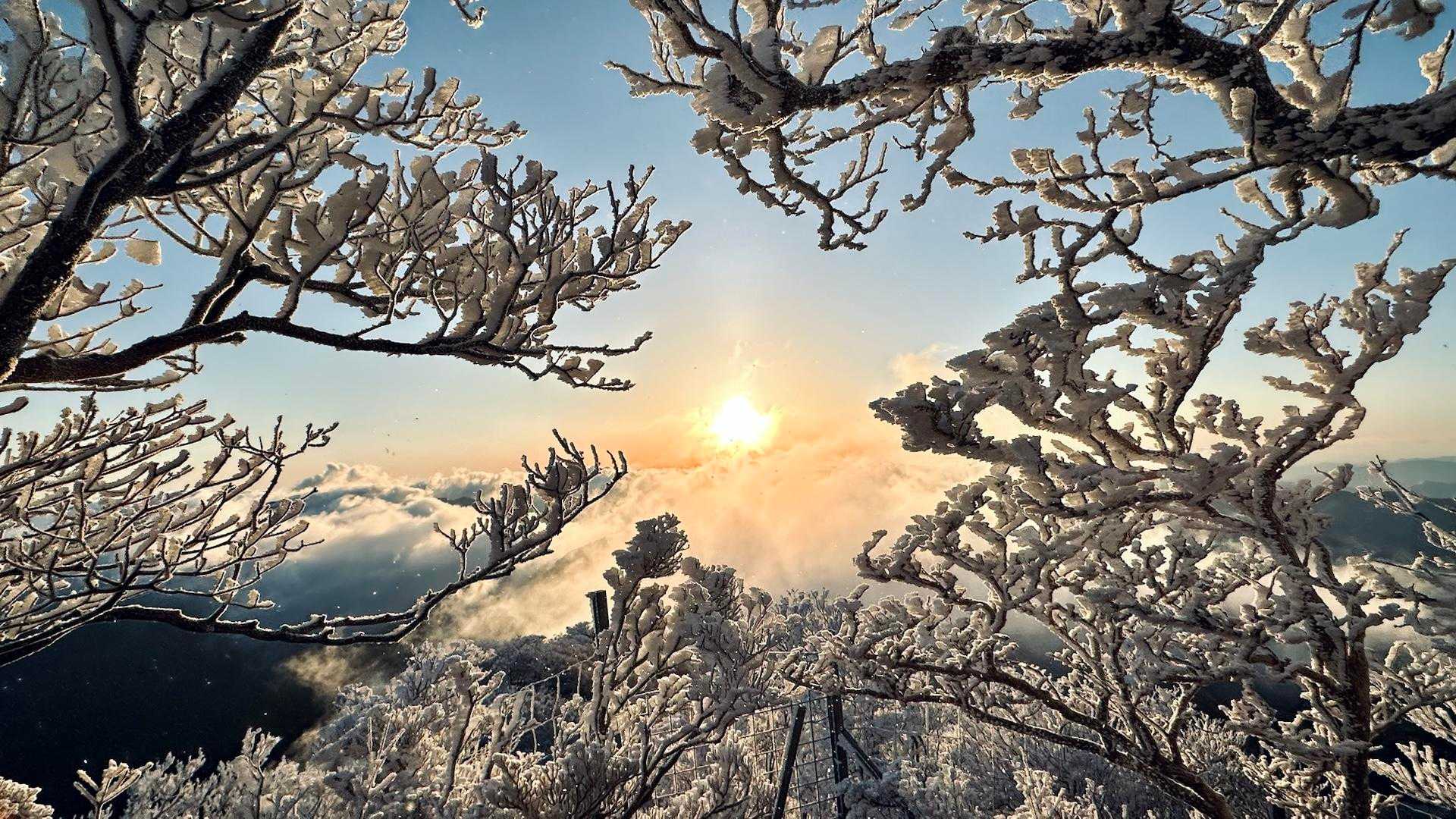 四季見橋登山口-親父山-障子岳 往復コースの写真