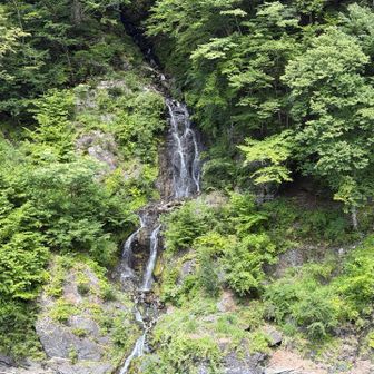 滝見橋から見る千古の滝。