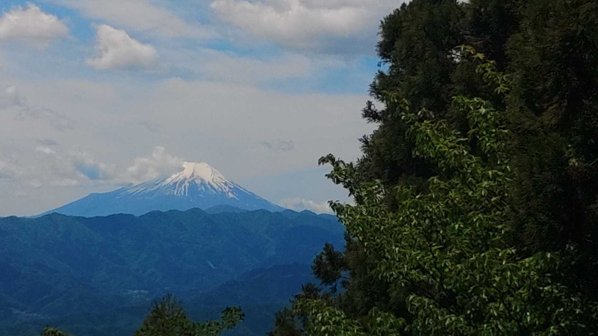 高尾山口駅-高尾山-景信山-陣馬山-陣馬高原下バス停 縦走コースの写真