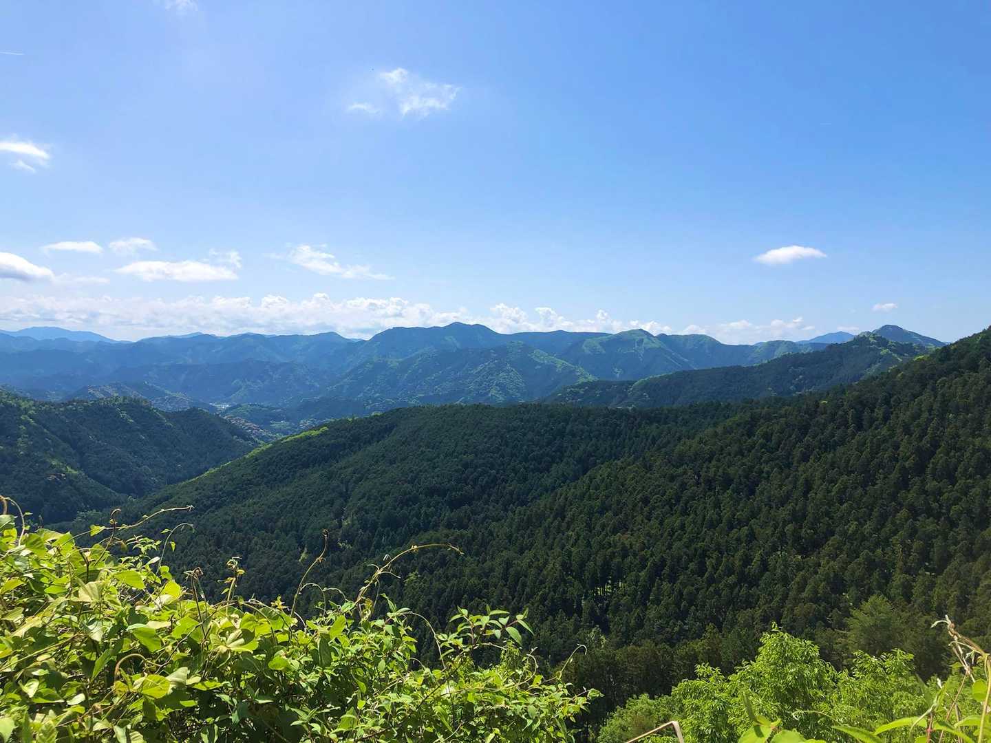 途中の舗装路からの眺め✨

見晴らし良かった✨