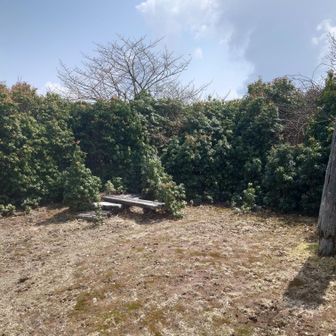 青スズ台、眺望なし