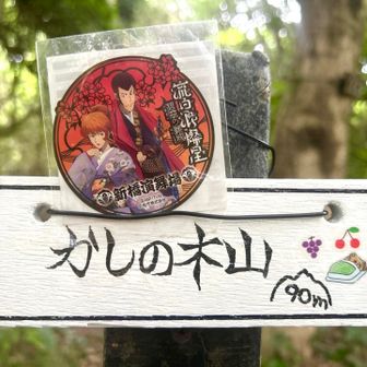 ちゃく💦。。。。残念ながら、モックは？？？
