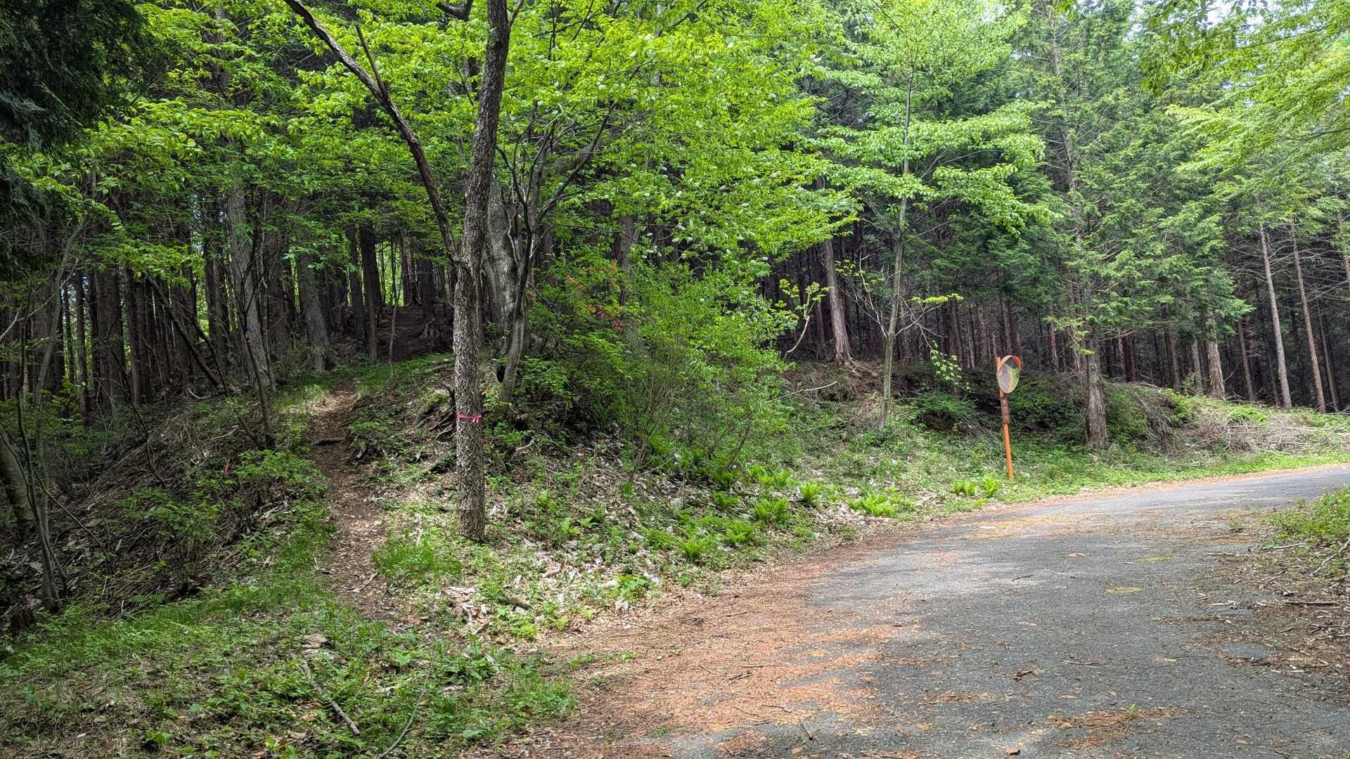 しばらく歩き、ピンテのある所からお山へ🚶‍♀️